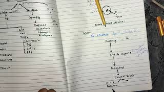 Anti Mycobacteria part 1 chemopharma katzung lippincot pharmacology [upl. by Zarah]