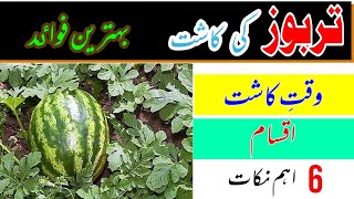 Watermelon farming in pakistan  how to grow watermelon  2021 [upl. by Anicnarf]