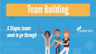 5 Stages of Team Building  What you should know when developing teams or groups [upl. by Iznyl142]