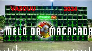 MELO DA MACACADA 2024  UMA PANCADAAA [upl. by Mcleod]