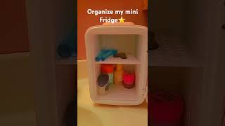 Organize me mini Fridge [upl. by Akener]