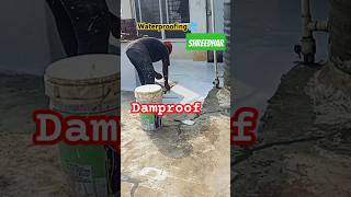 Damproof Asian paint  waterproofing in kannada  shreedhar waterproofing [upl. by Saxela]