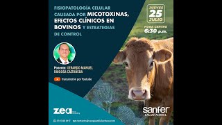 Fisiopatología celular causada por las micotoxinas efectos clínicos en bovinos [upl. by Ecirpak153]