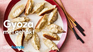 Gyoza maken met gehakt  Recept  Allerhande [upl. by Allys]