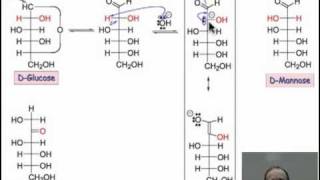 Basepromoted Sugar Isomerization [upl. by Parent994]