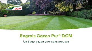 Un beau gazon vert sans mousse  DCM Gazon Pur® [upl. by Enilecram]