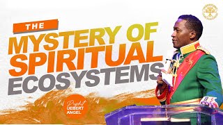 The Mystery Of Spiritual Ecosystem  Prophet Uebert Angel [upl. by Raji289]