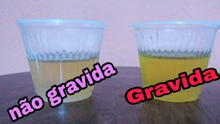 Teste caseiro de gravidez com vinagre Tentante Teste de gravidez positivo e negativo [upl. by Cleopatra]