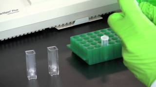 DNA Quantitation Using a Spectrophotometer [upl. by Ecniv]