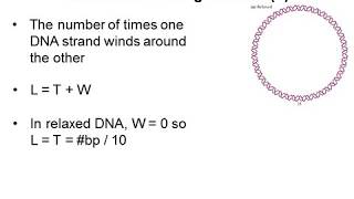 DNA Supercoiling 3  Linking Number [upl. by Ailen]