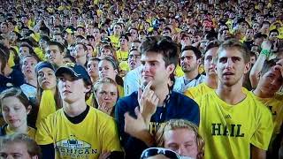 Michigan Fan Knows That ESPN Camera Caught His Facepalming [upl. by Nafri]