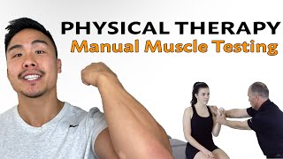 Manual Muscle Testing [upl. by Adliwa283]