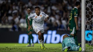 Santos 1 x 0 Palmeiras teve luta teve teimosia teve Neymar… [upl. by Arutak401]