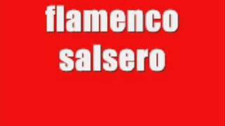 flamenco salsero remix 2009 [upl. by Seuguh]