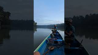 Mangrove fishing in Kerala river 🦈💥villagefishing traditionalfishing Keralafishing fish [upl. by Taylor708]