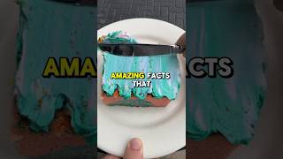 Amazing Facts That Will Blow Your Mind 2  shorts amazingfacts satisfying [upl. by Ashien]