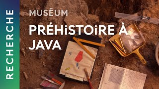 Quaternaire et Préhistoire en Indonésie  Expéditions du Muséum [upl. by Elocim]