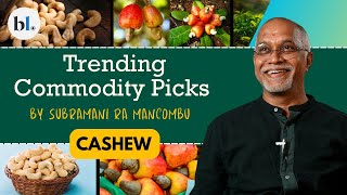 Cashew prices soar Get ready to pay more  Trending Commodity Picks  Ep 12  Subramani Ra Mancombu [upl. by Rodrique]