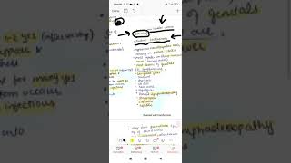 Treponema pallidum 2  spirochetes  becteriology  Dr Zubia [upl. by Edee]