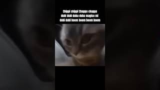 Chippi Chippi chappa chappa meme [upl. by Cathie247]