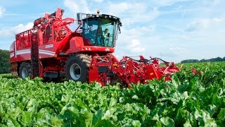 GRIMME REXOR 620  selfpropelled beet harvester [upl. by Blus]