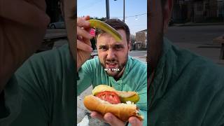 Best Chicago Hot Dog [upl. by Animrelliug]