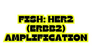 FISH HER2 ERBB2 AMPLIFICATION [upl. by Dusen]