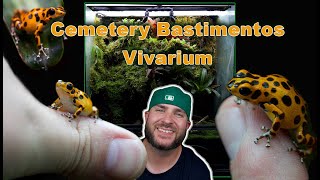 Oophaga Pumilio Cemetery Bastimentos Bioactive Vivarium IN DEPTH [upl. by Varney]