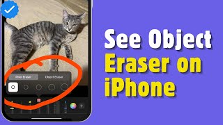 How to Use Object Eraser on iPhone  2024 Guide [upl. by Lenehc527]