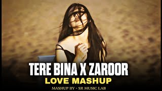 Tere Bina X Zaroor X Kabhi Use Noor Noor Mashup Full Version [upl. by Fitton]