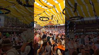 Oktoberfest in the Paulaner tent 😍🍻 paulaner oktoberfest beer [upl. by Auhel]