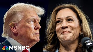 ‘Obvious raw fear’ Trump is ‘spiraling’ as Kamala Harris rises despite his attacks [upl. by Reich35]