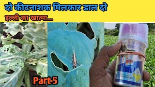 Kite insecticide  Indoxacarb14sc  Ajay Kashyap agriculture [upl. by Toddy97]