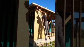 Shed to house  Installing the wall sheathing [upl. by Suirauqram]