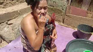 KISAH BIDADARI DAN AYAM JANTAN  Siangsiang bidadari gabut turun ke bumi mandiin ayam [upl. by Ainehs]