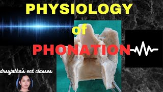 219Physiology of Phonation ent anatomyphysiology sound [upl. by Haneehs616]