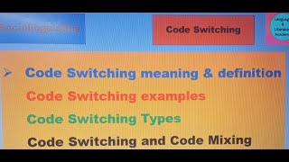 What is Code Switching and Code Mixing  Definition Types amp examples [upl. by Ahtebat]