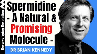 SPERMIDINE – A Natural amp Promising Molecule  Dr Brian Kennedy Interview Clips [upl. by Michele]