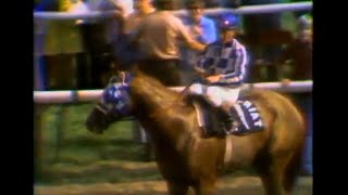 Secretariat at Arlington Park 1973 [upl. by Mchale]