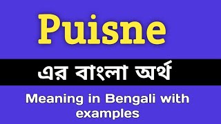 Puisne Meaning in Bengali  Puisne শব্দের বাংলা অর্থ কি  Bengali Meaning Of Puisne [upl. by Yendis53]