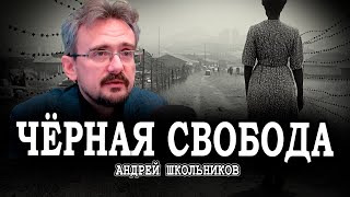 Невозможность порядка или Апартеид  как необходимость  Андрей Школьников [upl. by Leanahtan]