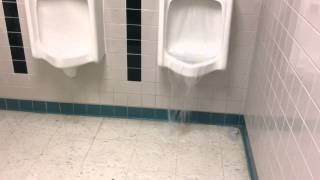 School Toilet Overflowing [upl. by Kristi219]