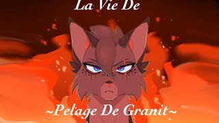 La Vie De Pelage De Granit LGDC [upl. by Toni339]