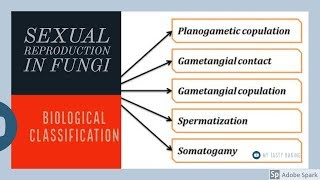 Sexual Reproduction in Fungi  Biological classification Vinay Biology [upl. by Vatsug934]