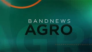 quotO Brasil se firma como uma grande potência da bioeconomiaquot diz Samanta Pineda  BandNews TV [upl. by Enneiluj]