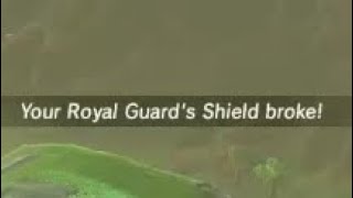 do NOT shield surf with royal guard shield in breath of the wild [upl. by Rubel]