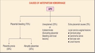 ANTEPARTUM HEMORRHAGE [upl. by Proctor]