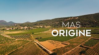 Mas Origine  3ème Prix  Concours Vignerons et Terroirs dAvenir 2023 [upl. by Atiuqrahs]