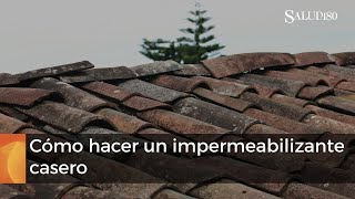 Cómo hacer un impermeabilizante casero protege tu casa contra la humedad y el salitre [upl. by Nylegna]