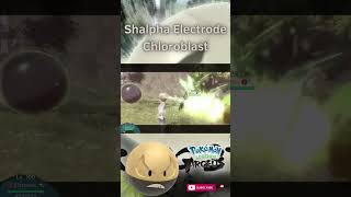 Shiny Alpha Hisuian Electrode Signature Move Chloroblast in Pokemon Legends Arceus [upl. by Nivra]